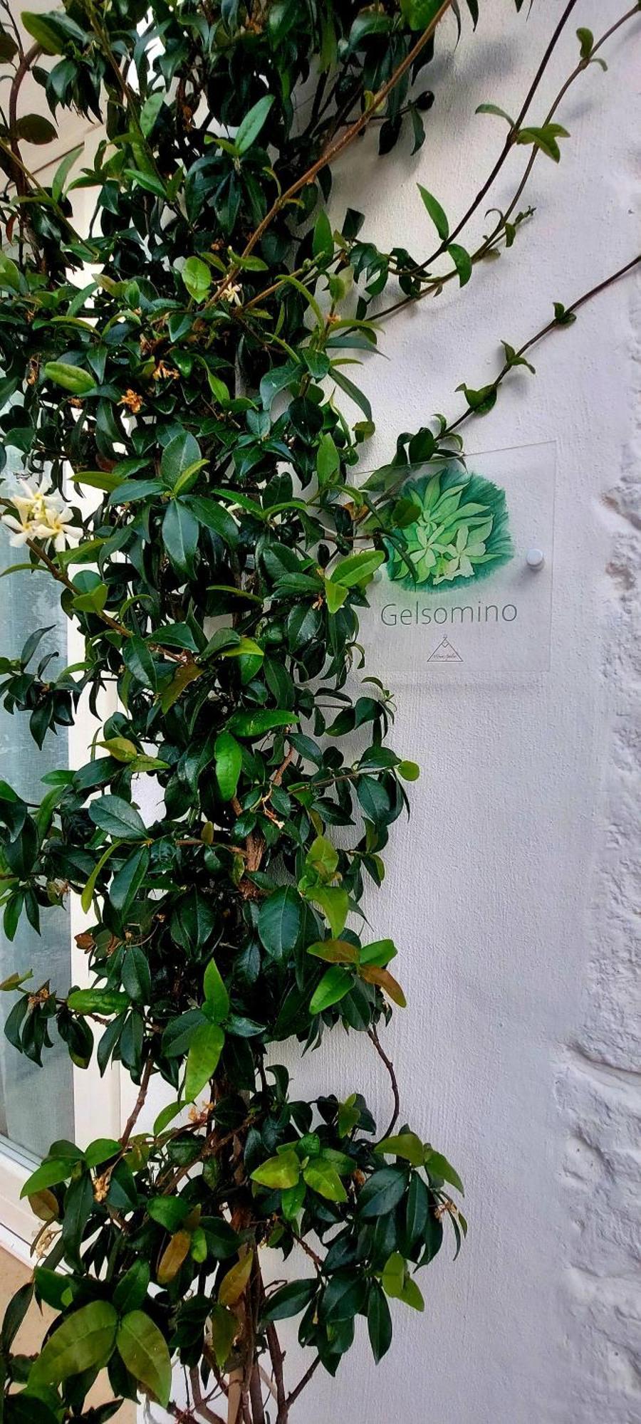 Mirum Apuliae Alberobello Buitenkant foto